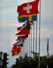 flags.jpg